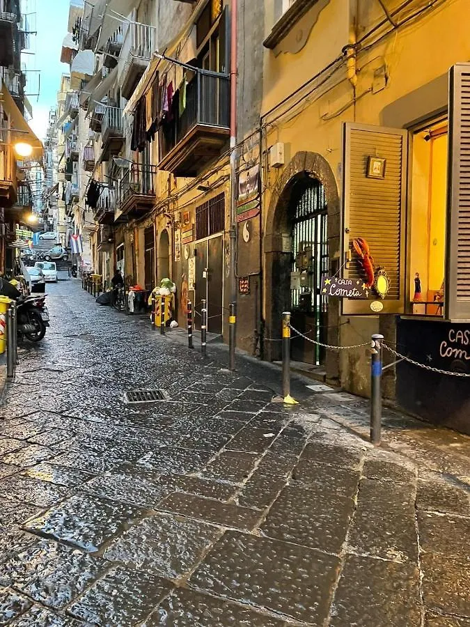 Casina 53 Apartment Naples